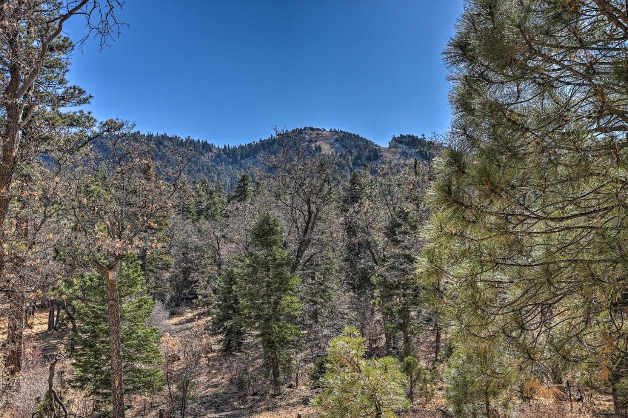Villa Chocolate Moose Cabin Short Walk To Slopes Big Bear Lake Exterior foto